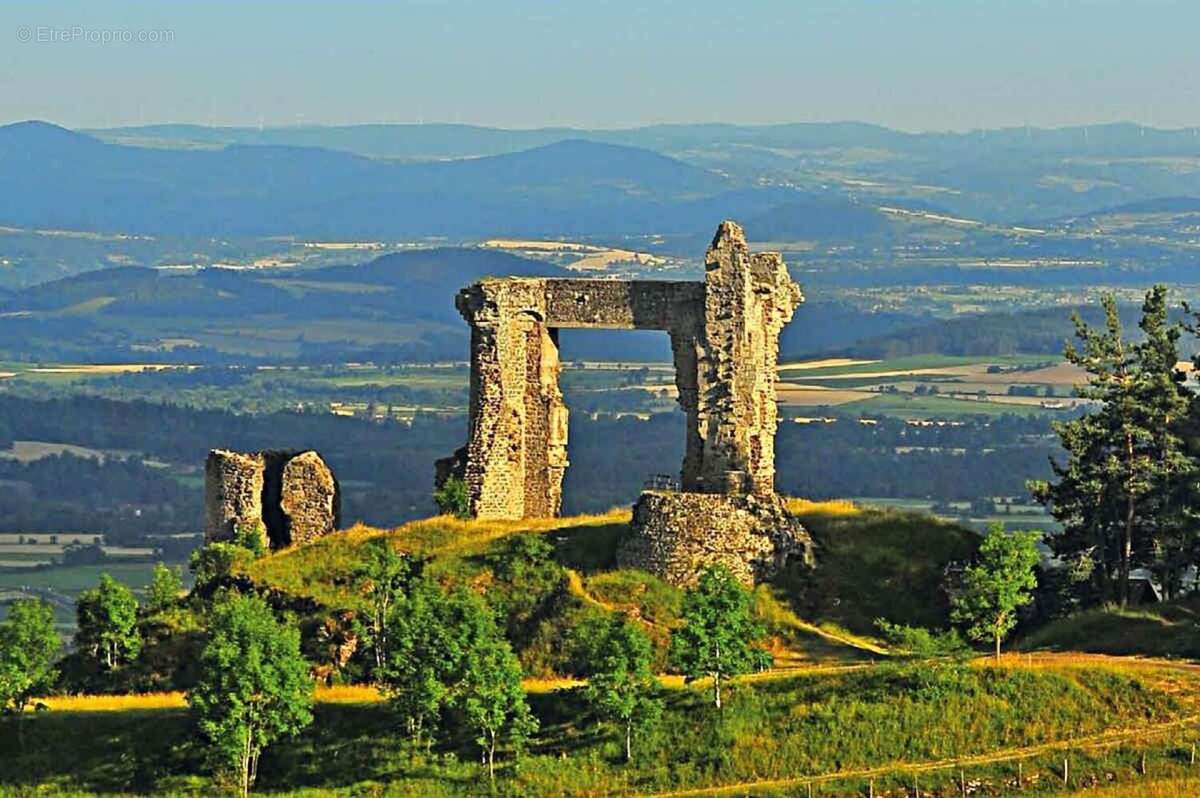 Photo 8 - Maison à SAINT-PAULIEN