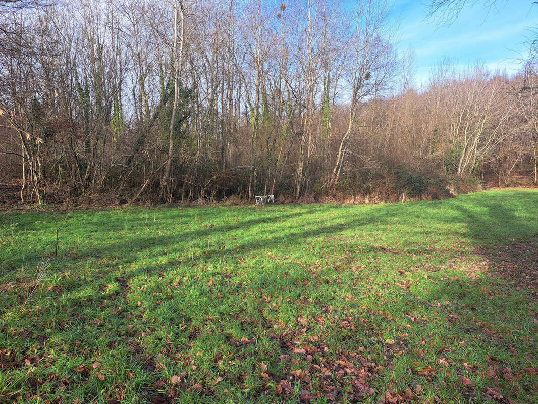 Terrain à SAINT-CALAIS