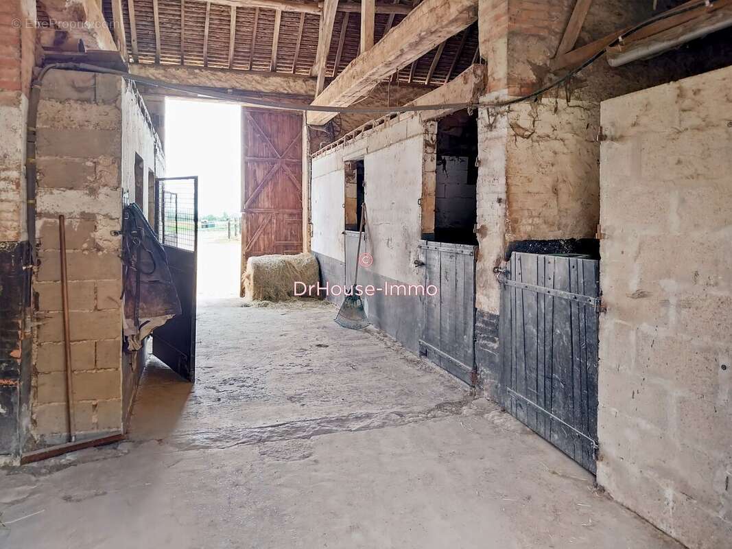 Maison 145 m² à Monhoudou  - photo 36
