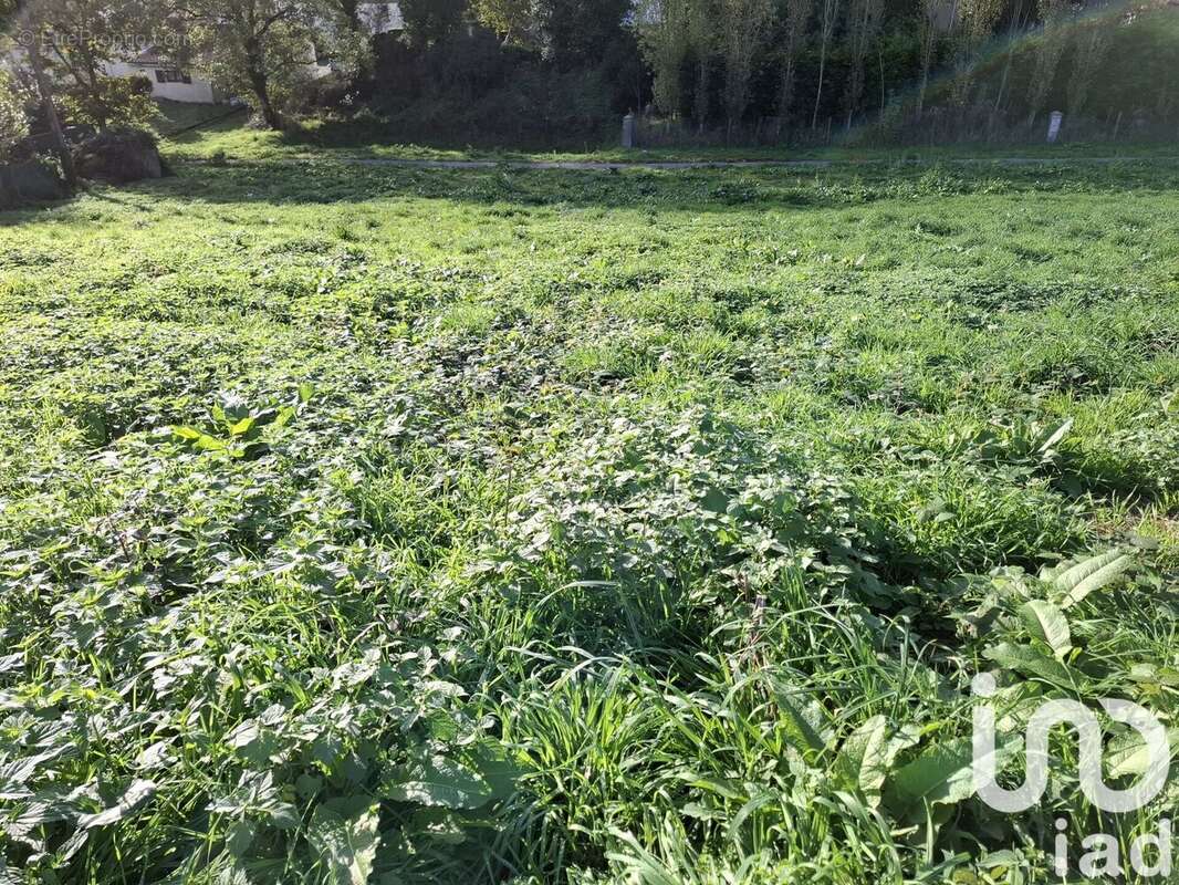 Photo 3 - Terrain à LA CHAPELLE-PALLUAU