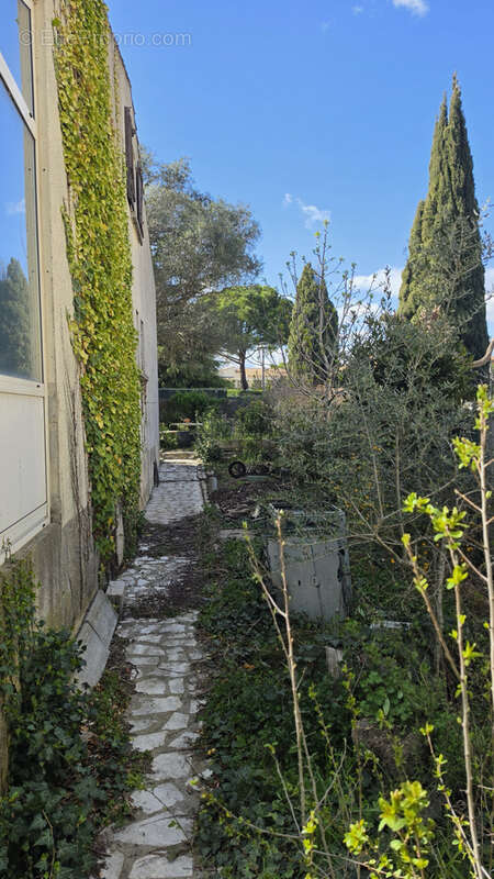 Maison à JUVIGNAC