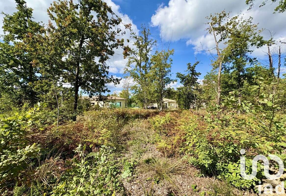 Photo 6 - Terrain à MARSAC-SUR-L'ISLE