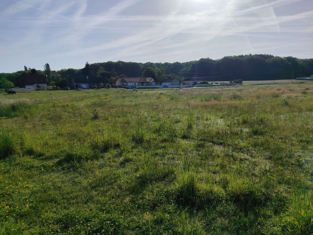 Terrain à PONT-SUR-YONNE