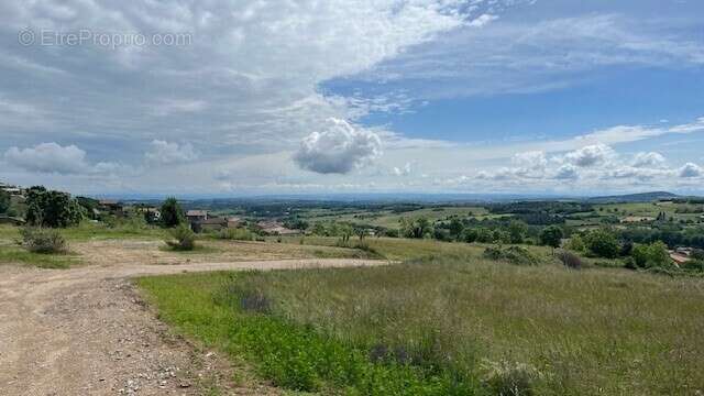 Terrain à SAINT-ALBAN-D'AY