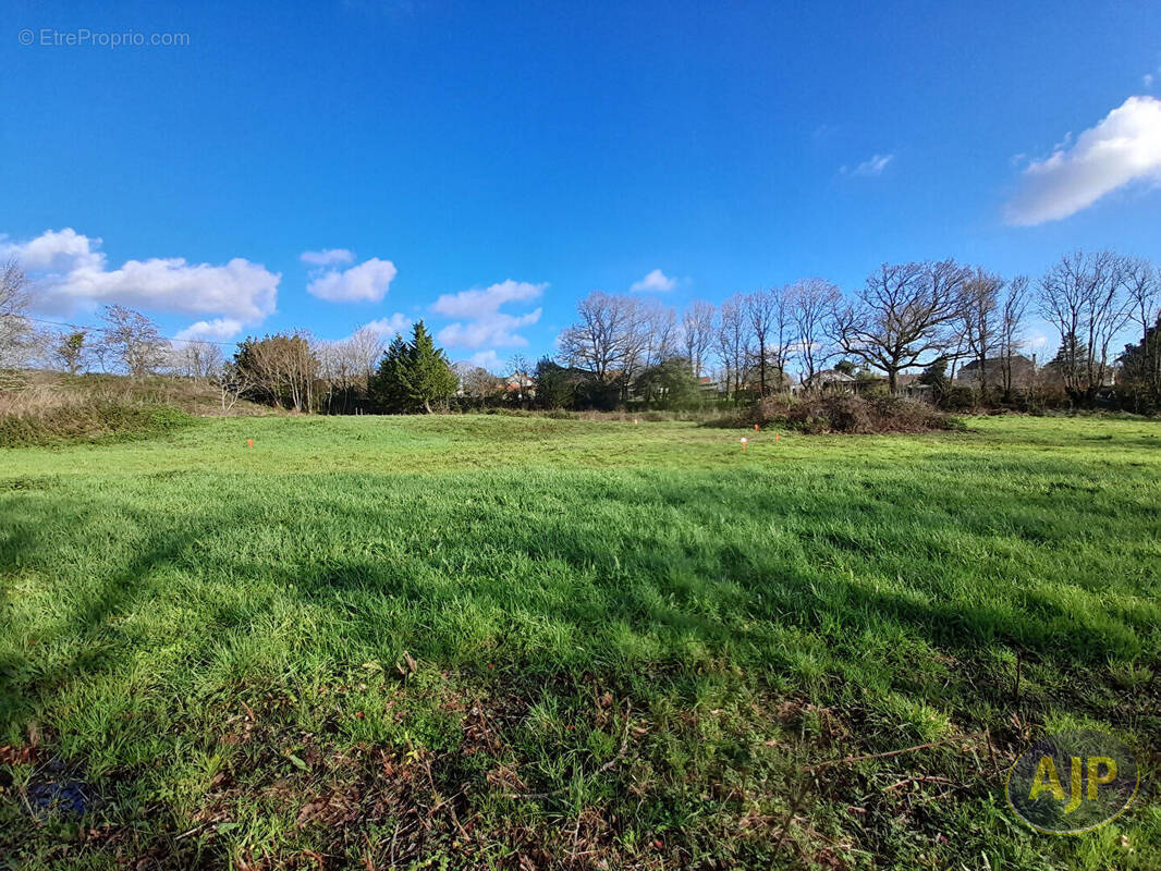 Terrain à LE CHAMP-SAINT-PERE