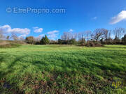 Terrain à LE CHAMP-SAINT-PERE