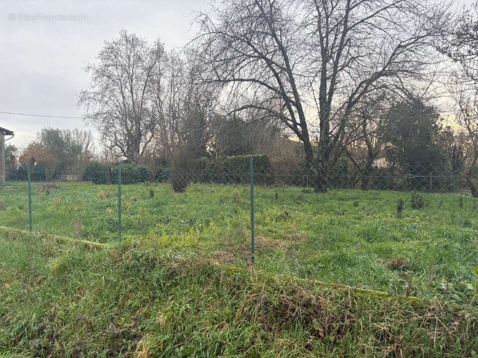 Terrain à VILLEMUR-SUR-TARN
