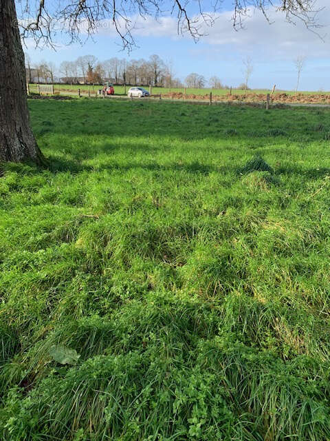 Maison à AMBRIERES-LES-VALLEES
