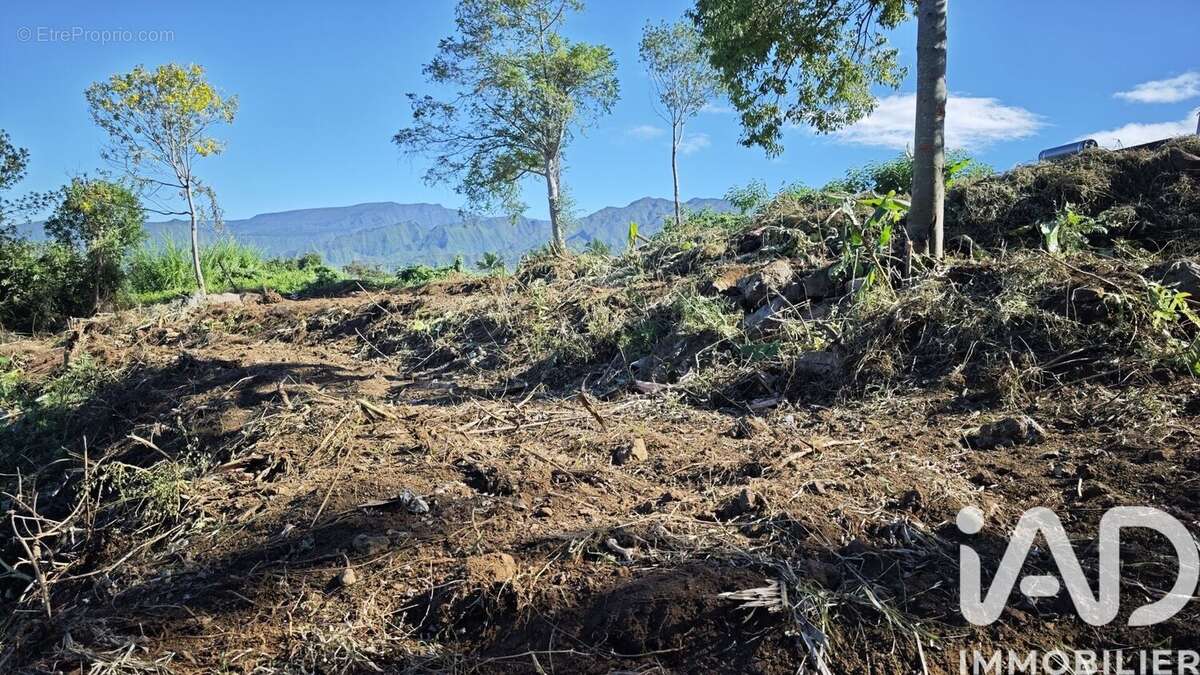 Photo 3 - Terrain à LE TAMPON