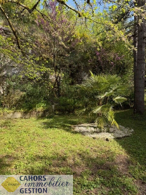 Maison à CAHORS