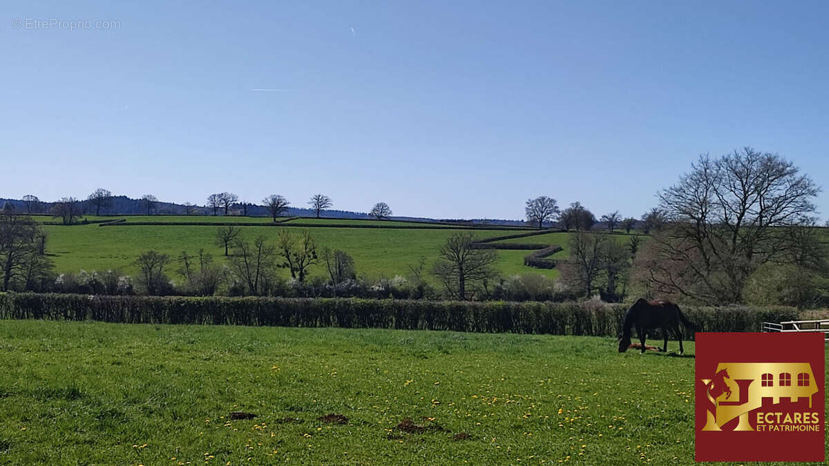 Maison à SAINT-BONNET-DE-JOUX