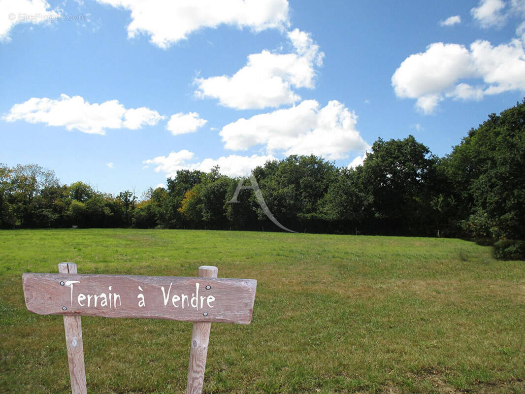 Terrain à NOYANT