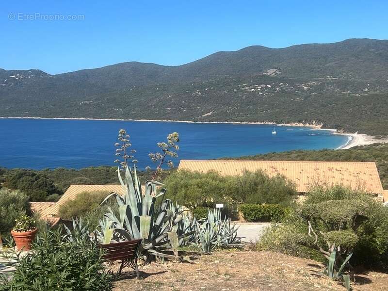 Très beau Duplex, 2 pièces avec vue mer/montagne, en Corse du Sud (20) - photo 3