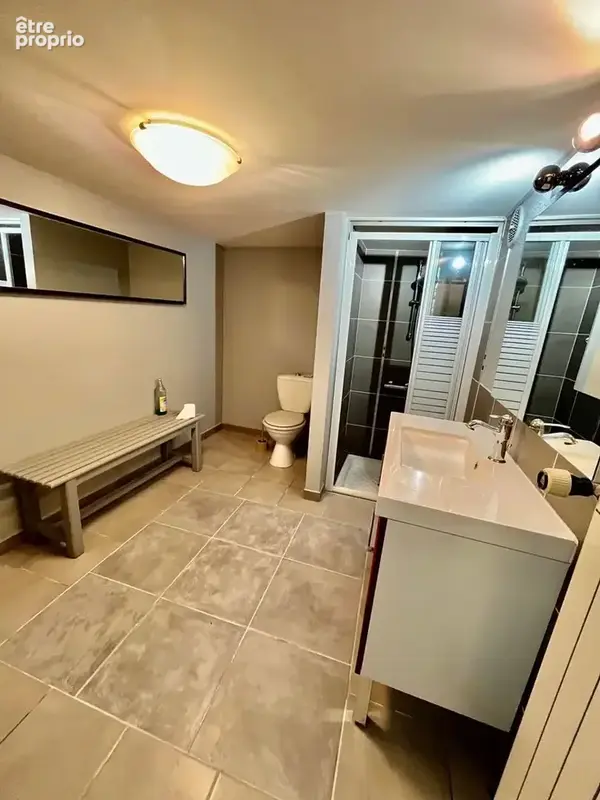 Maison 8 pièces 206 m² à vendre à Luxeuil-Les-Bains (70300) - photo 7
