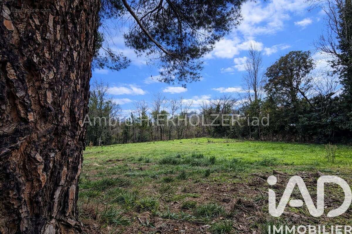 Photo 4 - Maison à PRADES