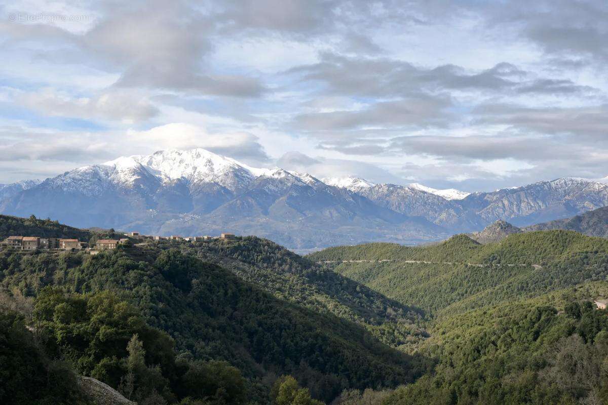 Appartement à MAZZOLA