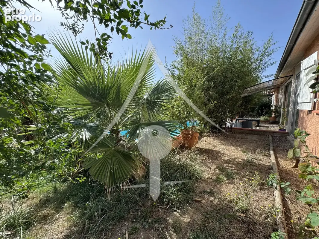 MAISON DE PLAIN-PIED T5 avec grand jardin, piscine et dépendance - photo 14