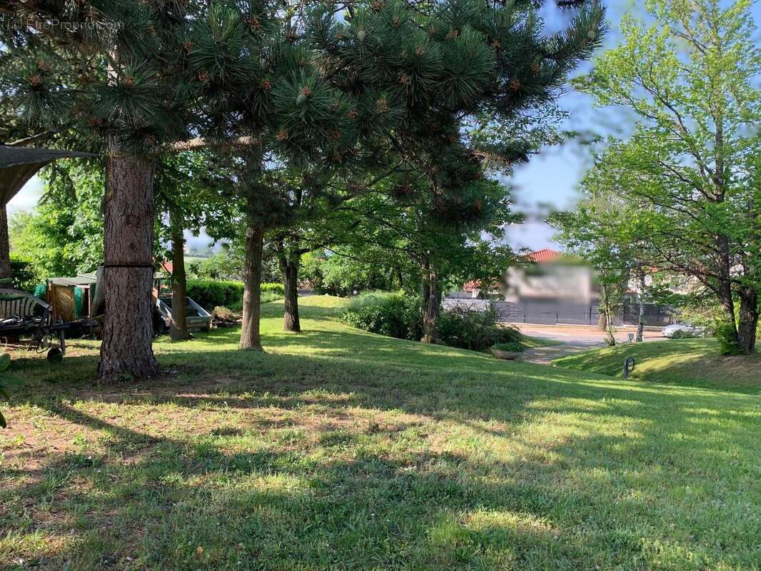 Photo 2 - Terrain à LA TOUR-DE-SALVAGNY