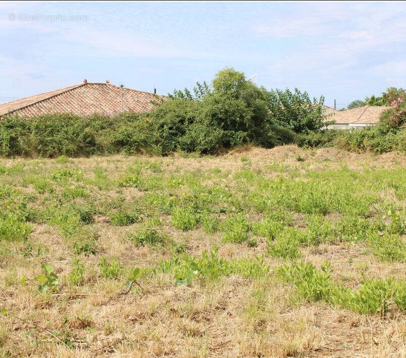 Terrain à VILLENEUVE-LES-BEZIERS