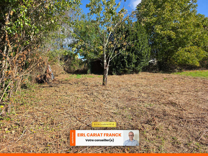 Terrain à CHAMBORAND