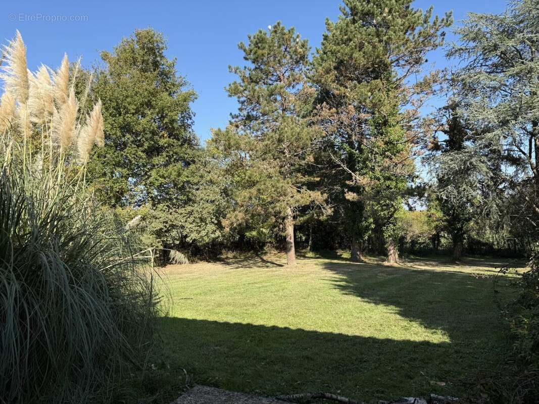 Maison 132 m² à Cholet  - photo 4