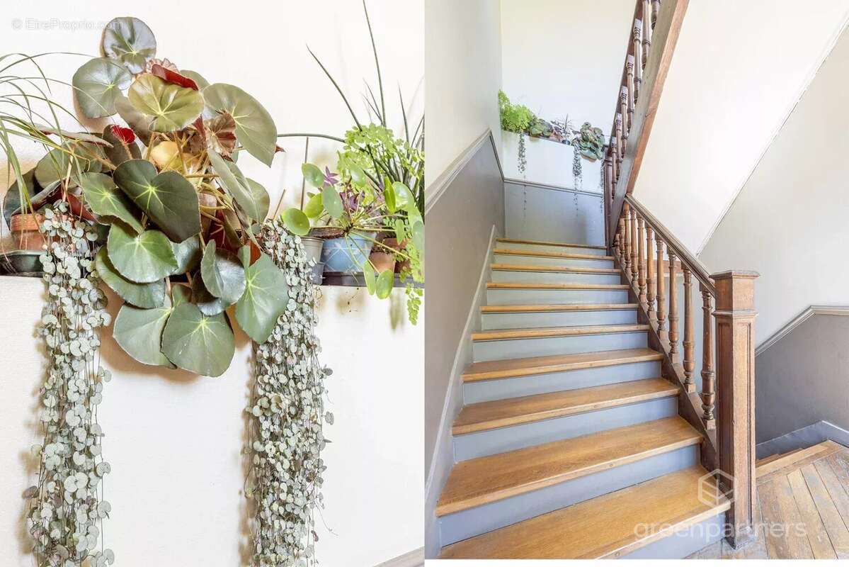 Appartement à MONTROUGE