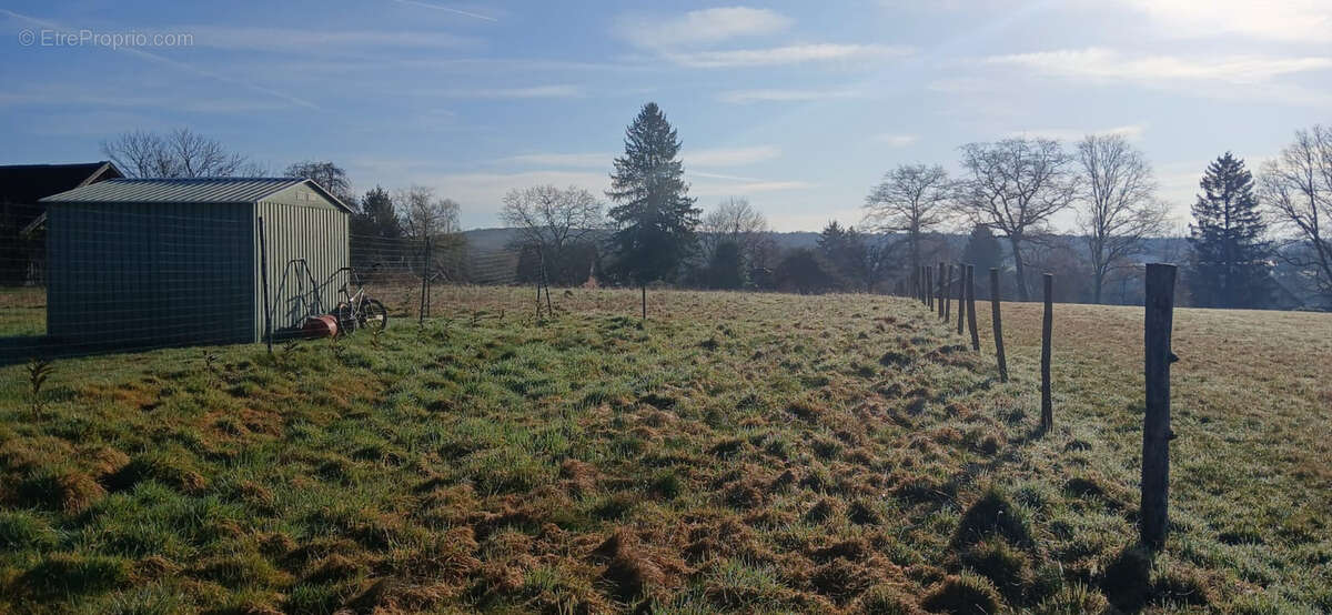 Terrain à ANGEOT