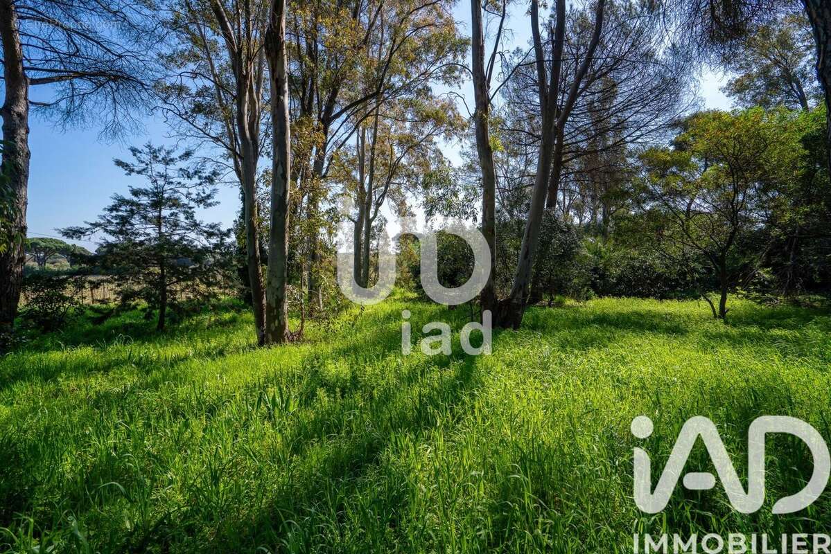 Photo 5 - Maison à RAMATUELLE