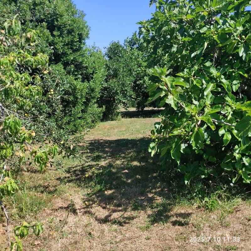 Terrain à BEYCHAC-ET-CAILLAU