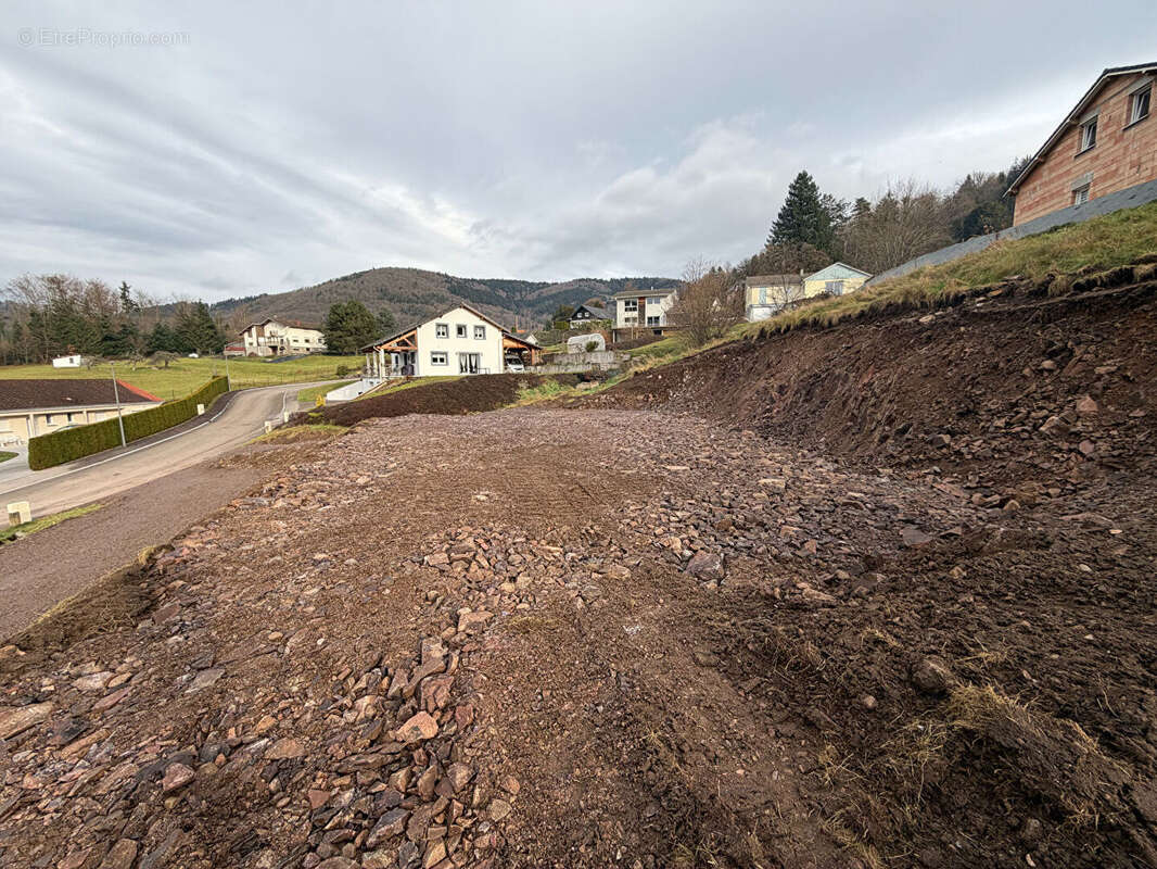 Terrain à RUPT-SUR-MOSELLE