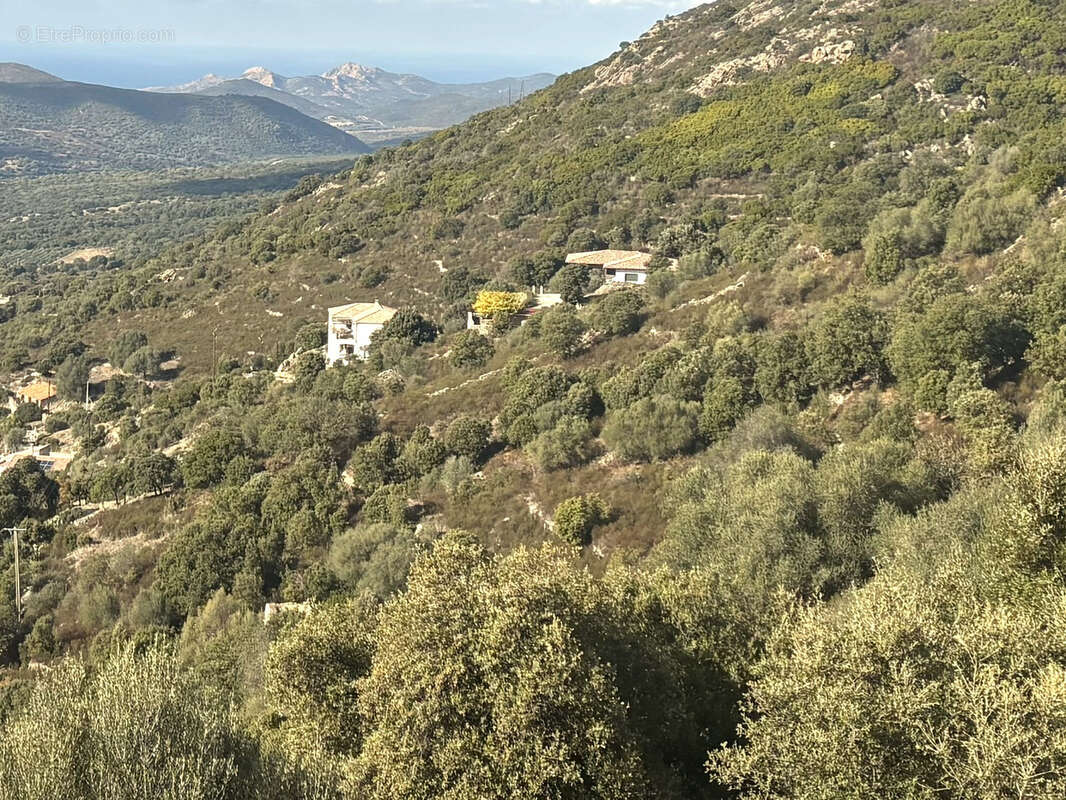 Terrain à PIETRALBA