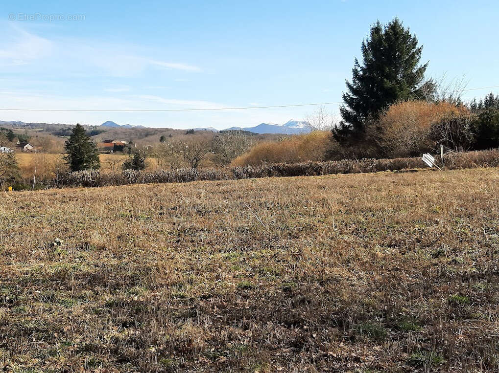 Terrain à CHAPDES-BEAUFORT