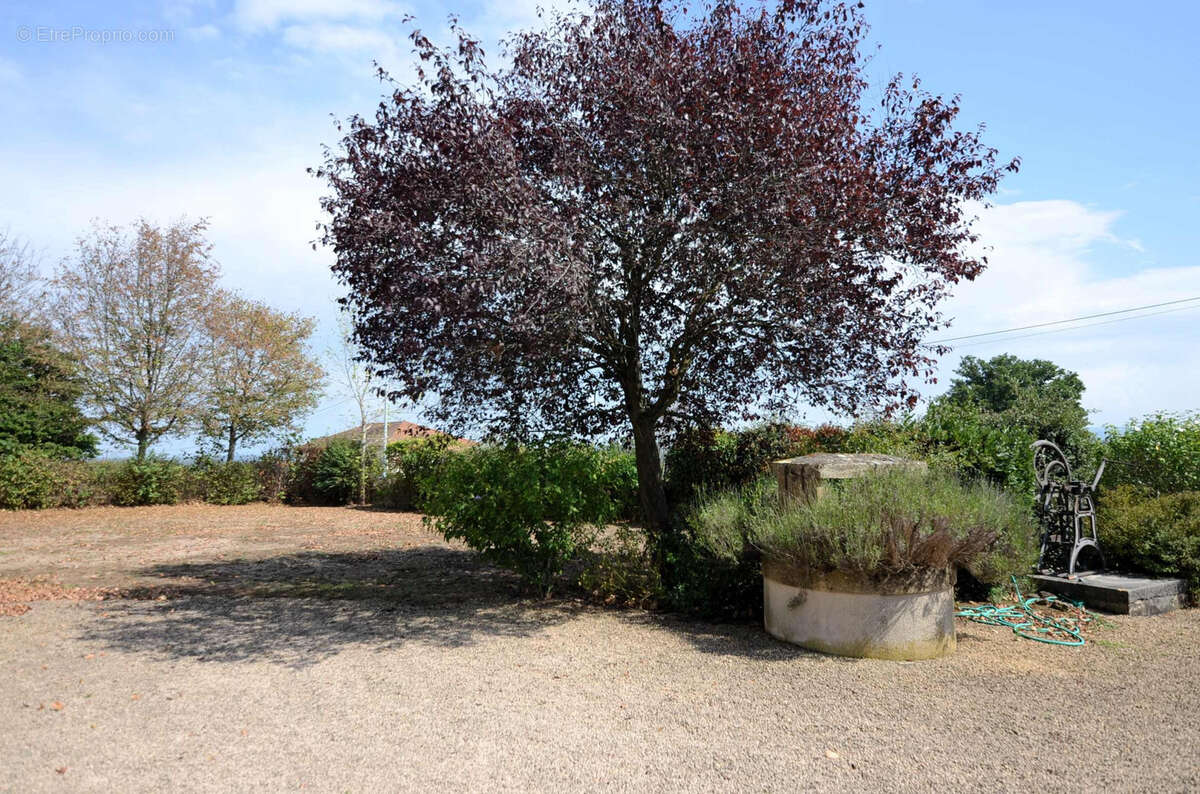 Maison à L'HOPITAL-LE-MERCIER