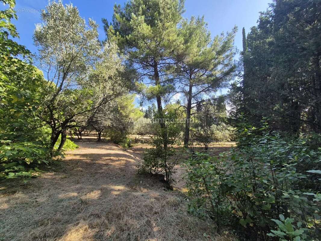 Vente Terrain Draguignan(83300) 145 000ï¿œ - photo 5
