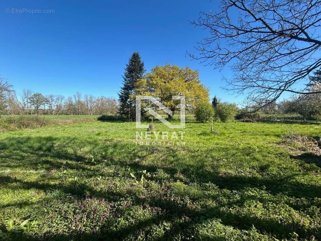 Appartement à MOLINET