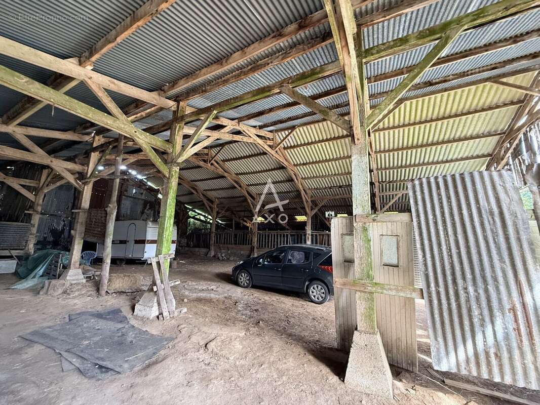 Maison familiale rénovée avec vie de plain-pied, grand terrain et hangar de plus de 300 m² - photo 9