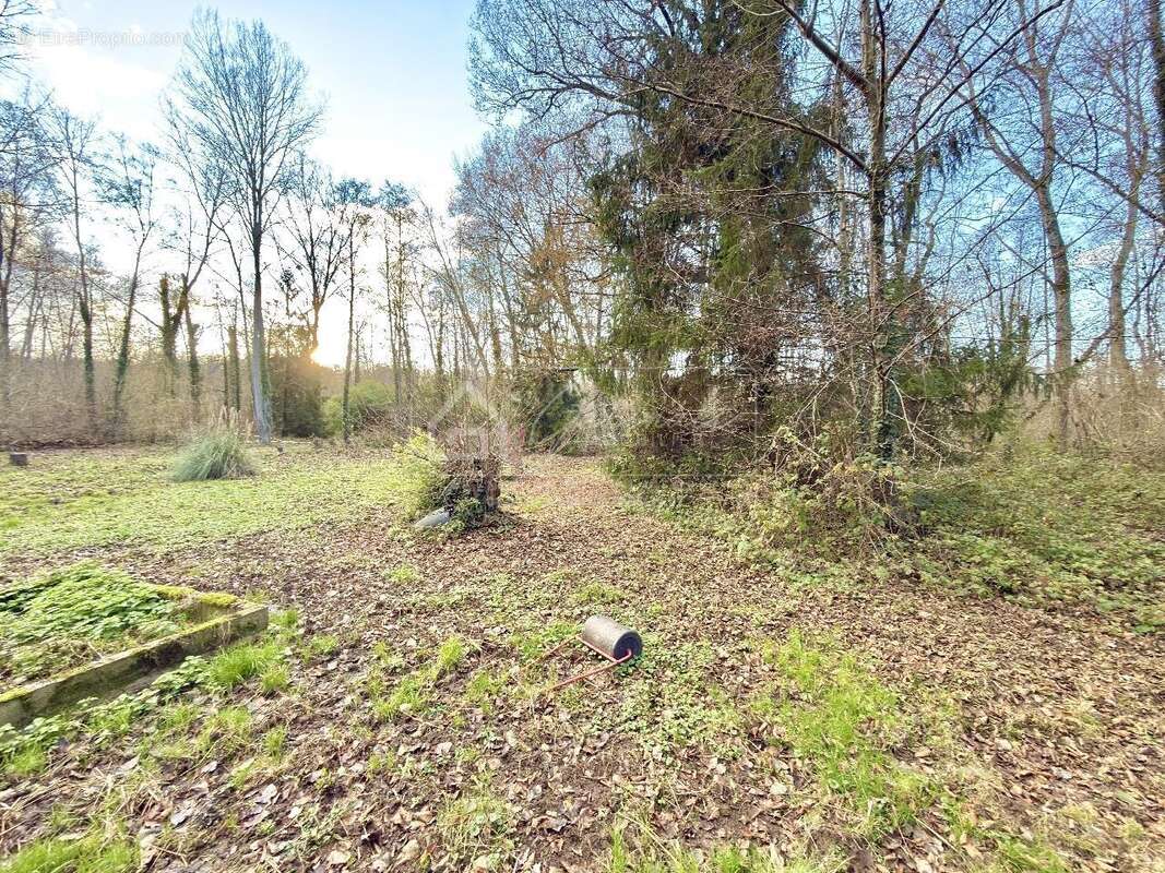 Maison à NANTEAU-SUR-ESSONNE