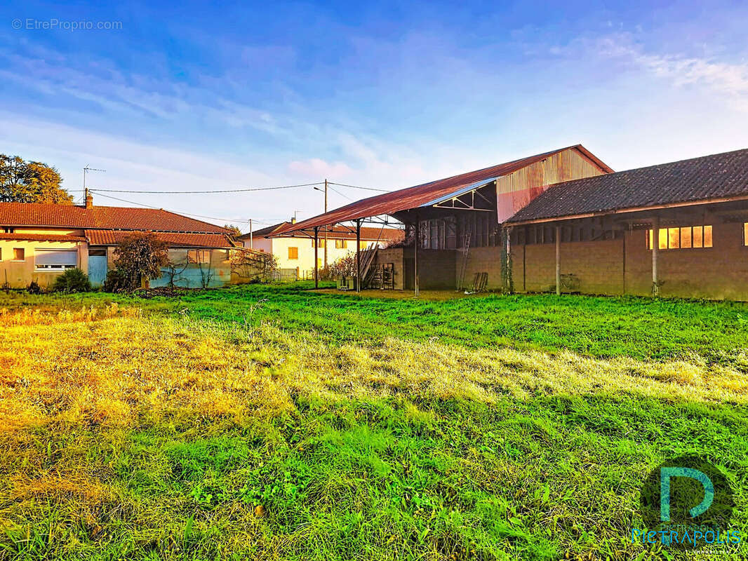 Maison à CORMORANCHE-SUR-SAONE