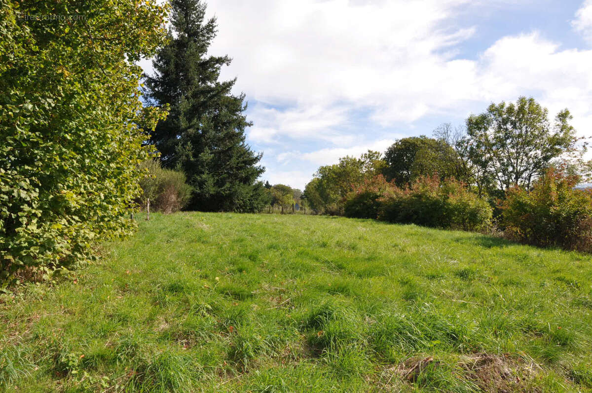 Maison à ARFEUILLES