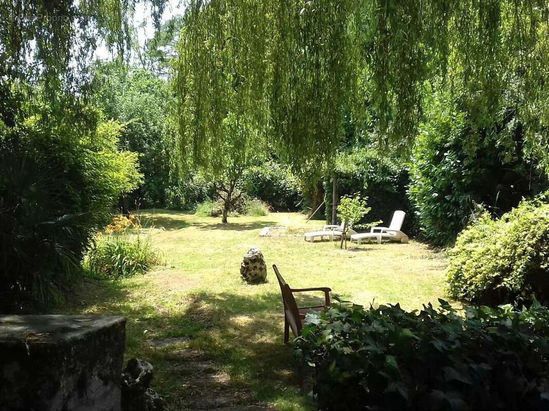 Appartement à MONTAURIOL