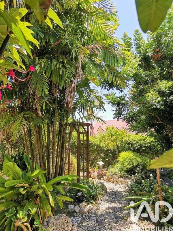 Photo 3 - Maison à SAINTE-ANNE