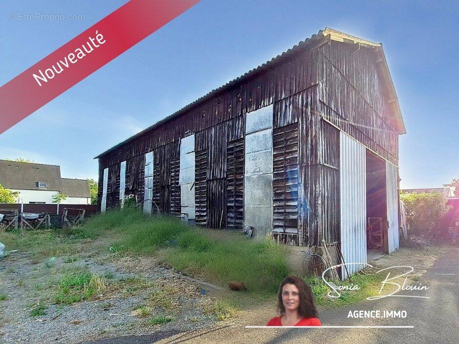 Séchoir à tabac St Jean des Mauvrets - Terrain à SAINT-SATURNIN-SUR-LOIRE