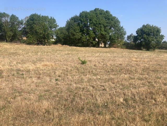 Terrain à VALEYRAC