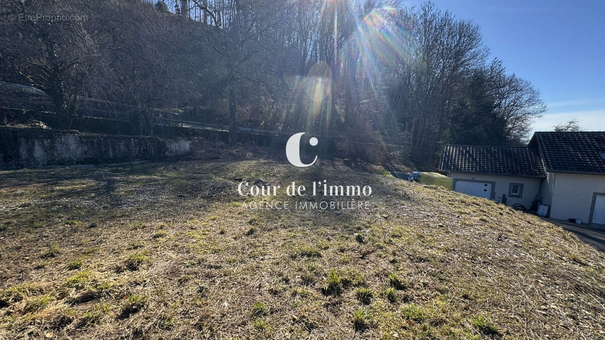 Terrain à VIUZ-EN-SALLAZ