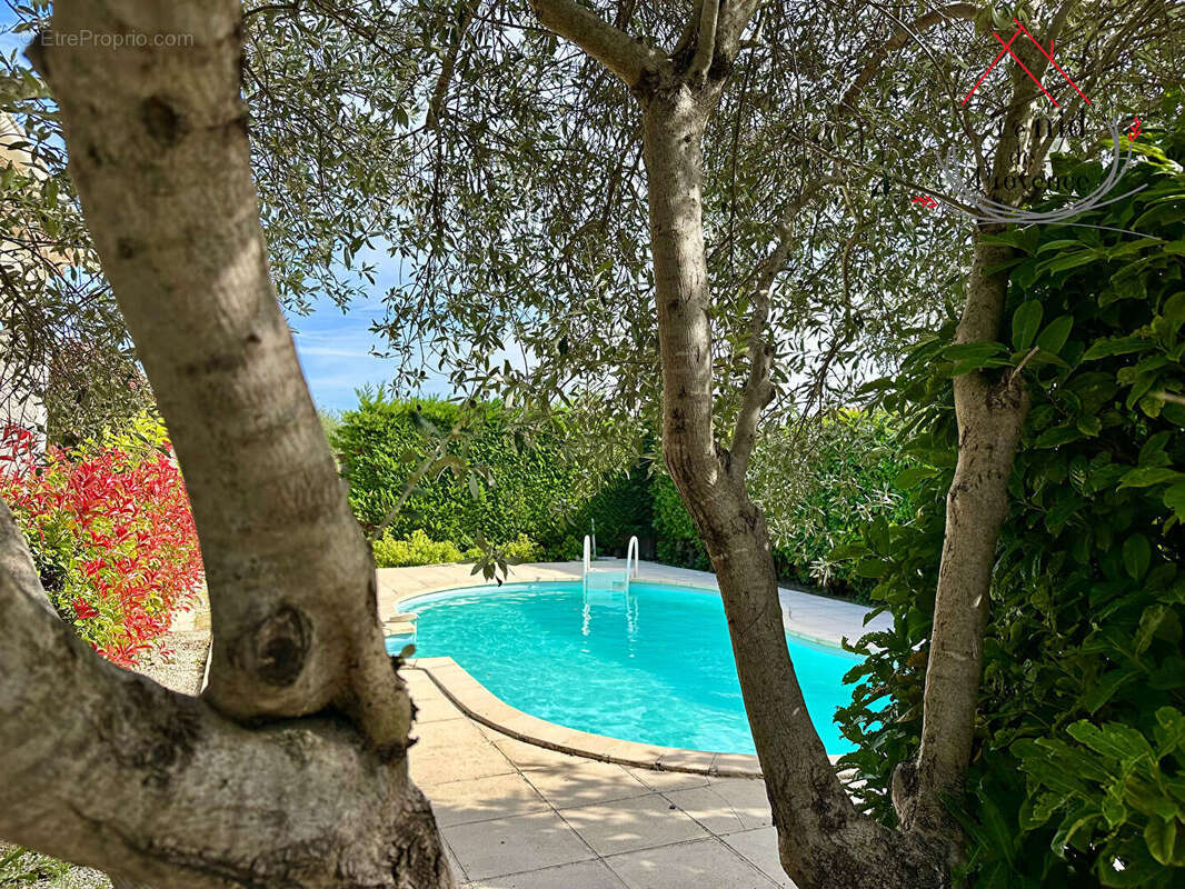 Maison de plain pied 127 m2 avec piscine à  Camaret - photo 3