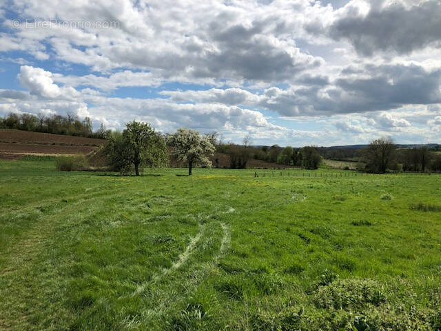 Terrain à GOURNAY-EN-BRAY