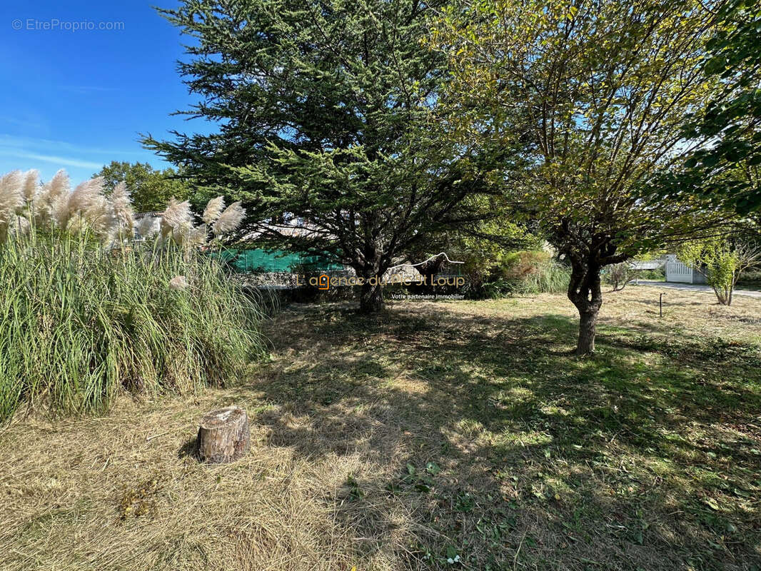 Terrain à SAINT-MARTIN-DE-LONDRES