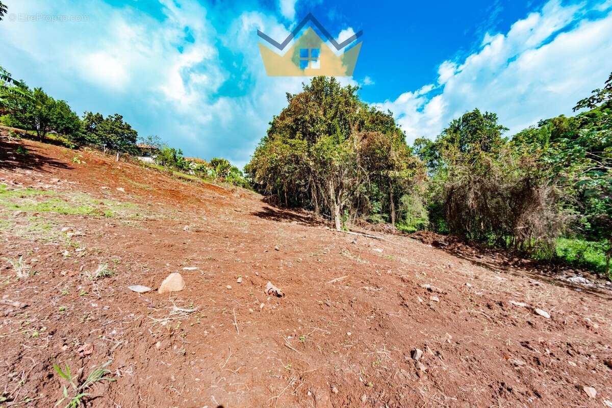 Terrain à SAINT-ESPRIT