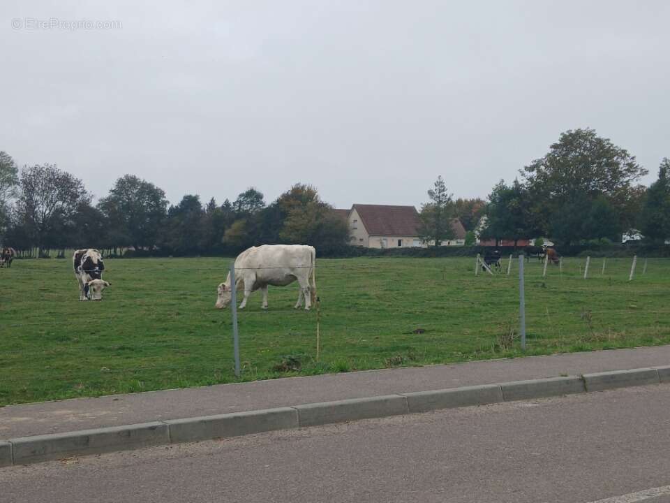 Terrain à LA RUE-SAINT-PIERRE
