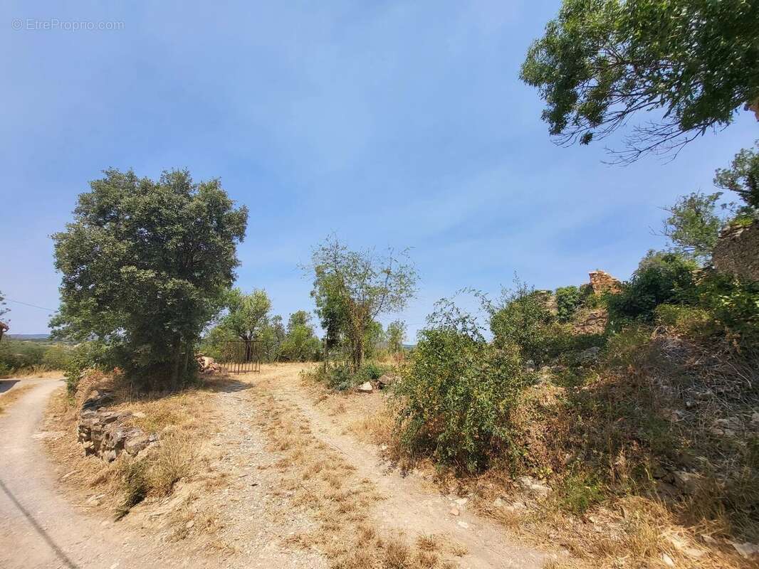 Terrain constructible de 1 071 m² – Vue exceptionnelle – - photo 2